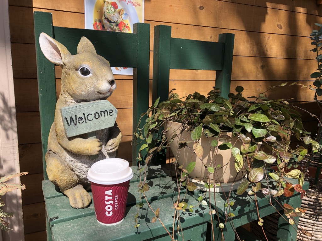 写真 2021-03-17 11 36 18