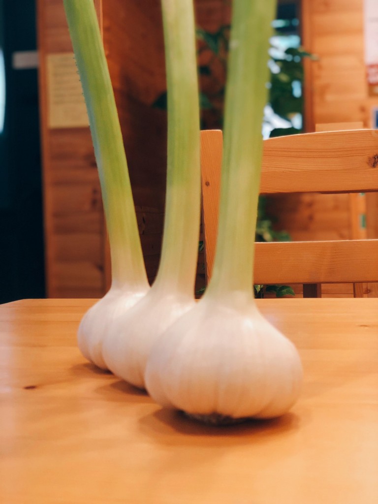 写真 2021-05-12 18 07 56