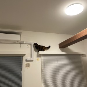 写真 2021-01-04 13 29 29