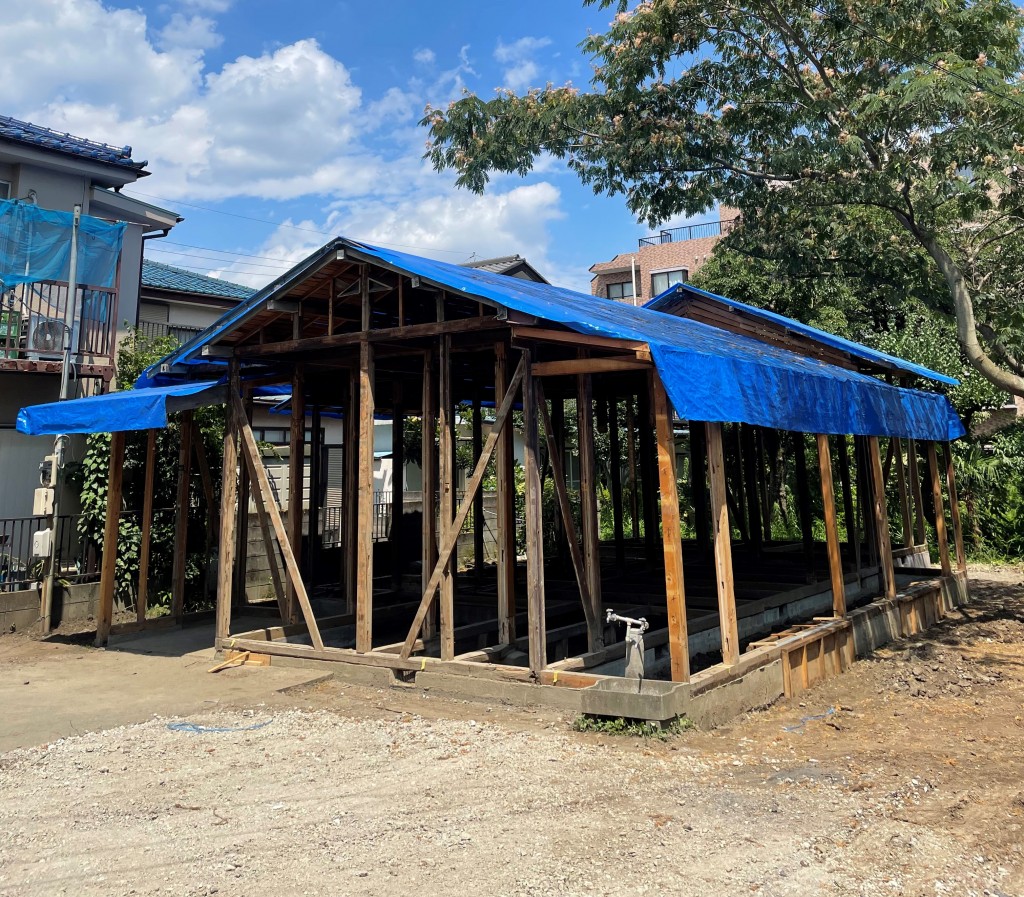 スケルトン外観 05