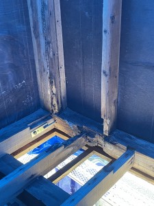 写真 2021-08-09 9 32 21