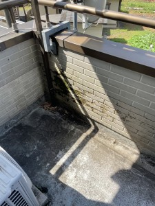 写真 2021-08-02 9 07 49