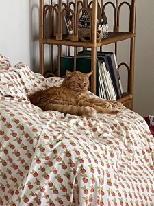 二世帯化リフォーム 間もなく完成です！