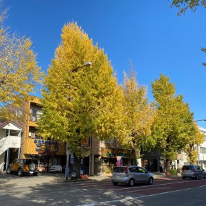 八王子市リフォーム補助金！まだギリギリ間に合います！