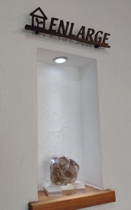 🌳サステナブルなリフォーム🌳