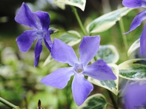 7c9f474ef7a5e184013837062cc049f3_1614182736