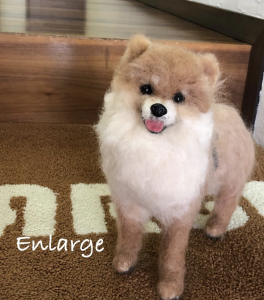 今月のレンタルスペース♪