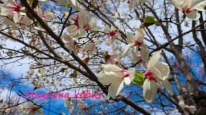 梁を見せるリビングのインテリア♪