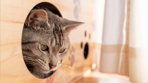 とってもお得なリフォーム補助金をご存じですか？🌼