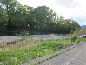 G.W.期間中も休まず営業します！