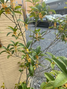 お客様をリフォーム現場にご案内しました❢