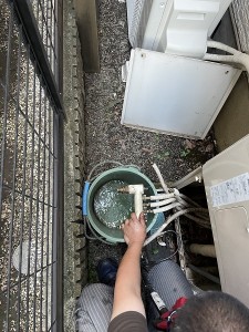 写真 2022-09-26 16 56 01