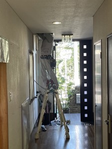 写真 2022-09-26 10 13 49