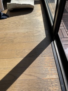 写真 2022-09-30 9 20 50