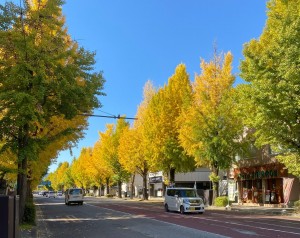 【鉄骨造】全面リフォームの外装工事が始まりました☀