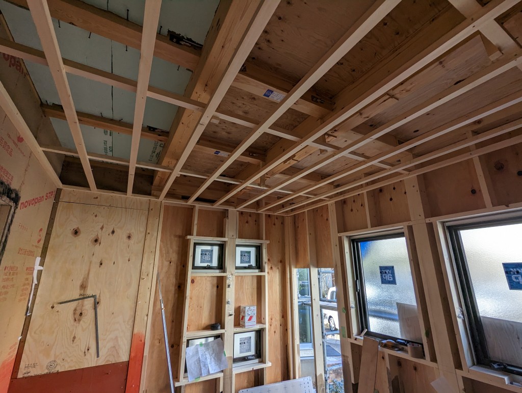 PXL_20230228_003513062