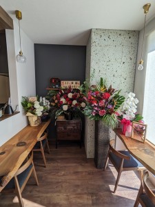 PXL_20230303_040102634