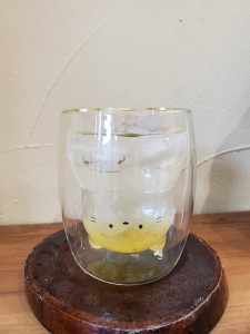 フルーツはちみつソーダ