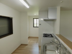 DSCN5329