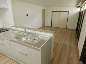 DSCN5331