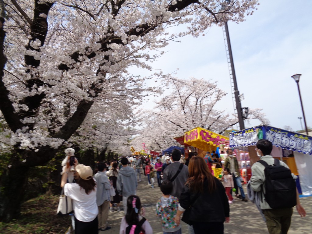 ご実家の1階全面リフォーム！いよいよ完工🌸