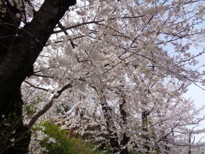 新築外構工事 着工しました！