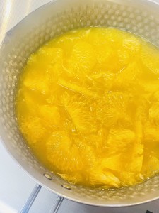 写真 2025-04-15 9 49 13