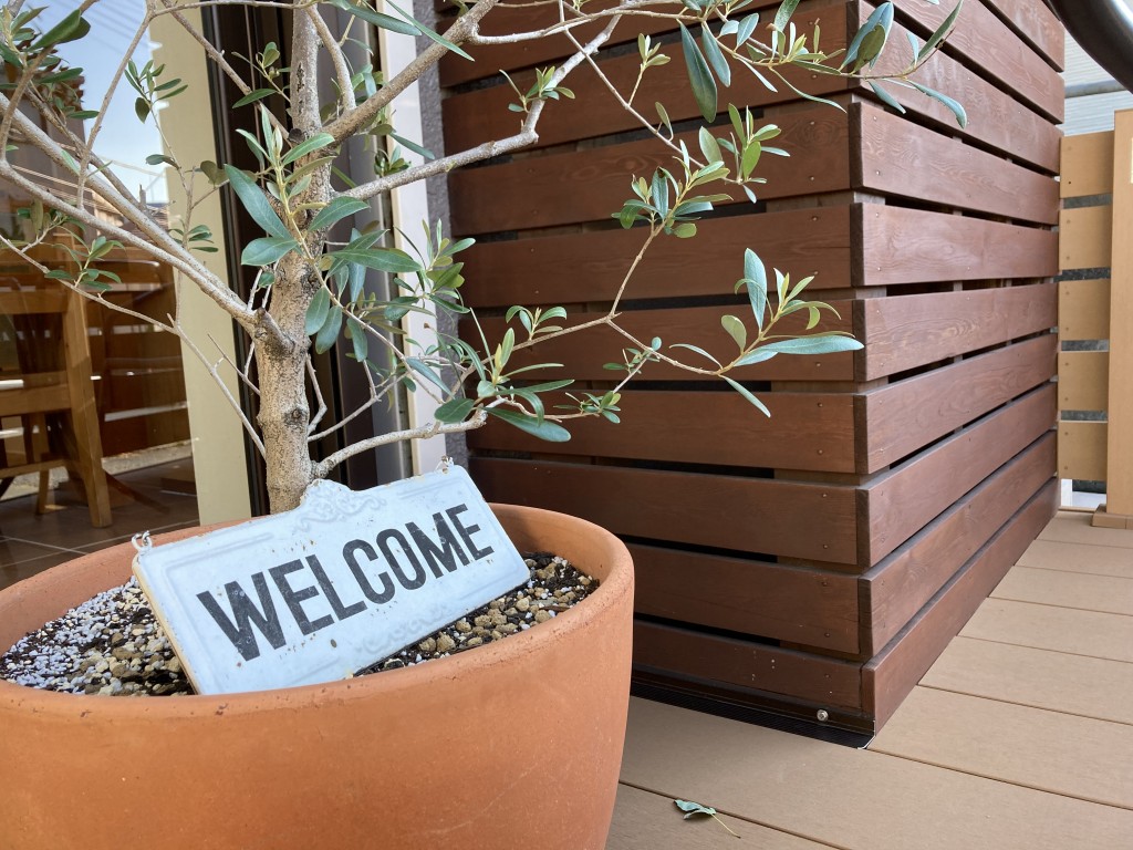 きたの オリーブ