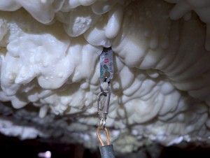 LINE_ALBUM_６月４日　エンラージ　富田邸_250604_1