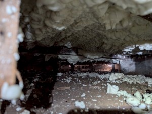 LINE_ALBUM_６月４日　エンラージ　富田邸_250604_2