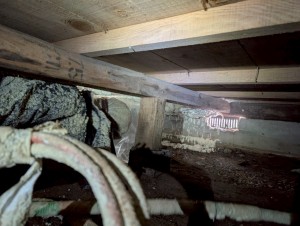 LINE_ALBUM_６月４日　エンラージ　富田邸_250604_4