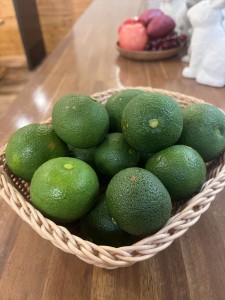 宮崎県産ヘベスドリンク販売✨