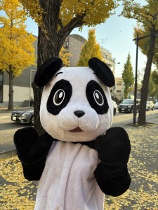 写真 2025-11-16 15 31 17