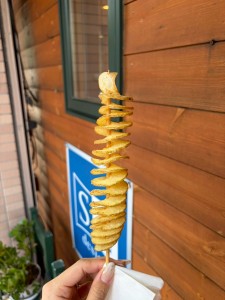 写真 2025-11-07 11 22 46 (2) (1)