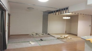 写真 2025-11-21 17 25 13