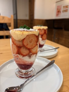 写真 2026-01-24 15 03 22