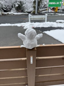 写真 2026-02-08 13 32 20