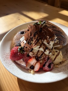 写真 2026-01-31 9 46 02