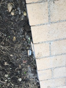 写真 2020-01-30 15 50 16_R