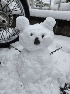 写真 2026-02-08 13 26 14 (2)