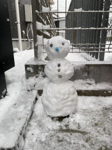 写真 2026-02-08 13 26 14 (1)