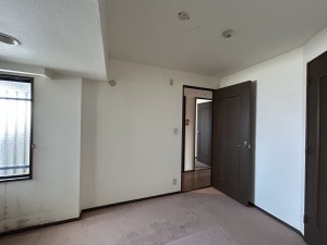 写真 2025-03-30 11 48 55