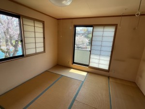 写真 2025-04-09 11 03 33