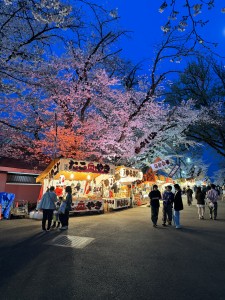 お庭をおしゃれに彩る！中木＆低木🍃