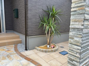 写真 2024-05-09 14 03 20