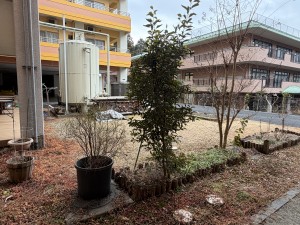 写真 2026-02-17 15 07 36