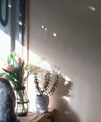 自然素材のご紹介