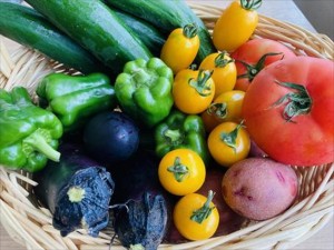 2等：季節の野菜盛り合わせ_R