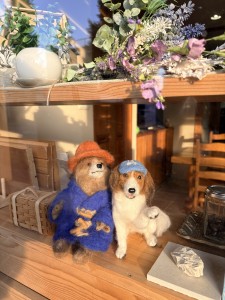 レンタルスペースのご紹介🐶