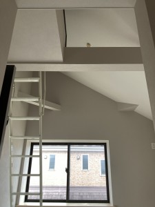 IMG_4904